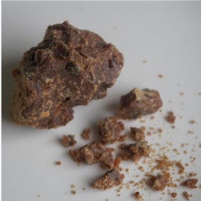 ASAFOETIDA ASAFOETIDA FERULA ASAFOETIDA