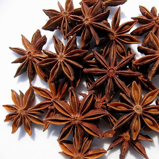 BADIAN STAR ANISE ILLICIUM VERUM