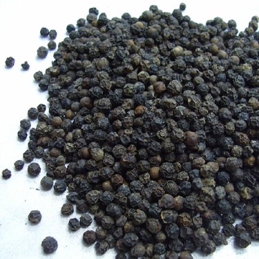 BLACK PEPPER PIPER NIGRUM