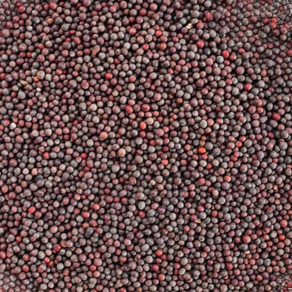 MUSTARD SEEDS