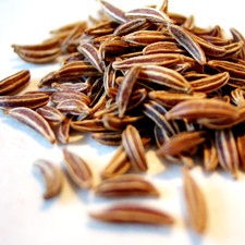 CARAWAY SEEDS CARUM CARVI SEED