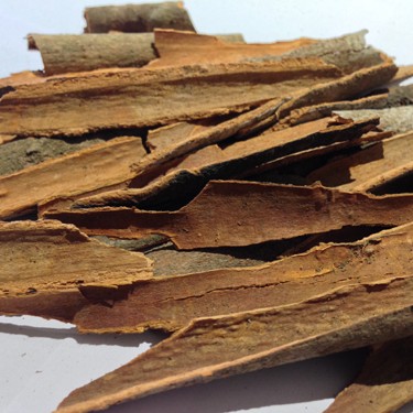 CINNAMON CINNAMOMUM ZEYLANICUM