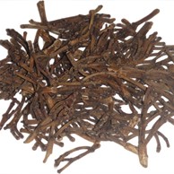 CLOVE STEMS EUGENIA CARYOPHYLLATA