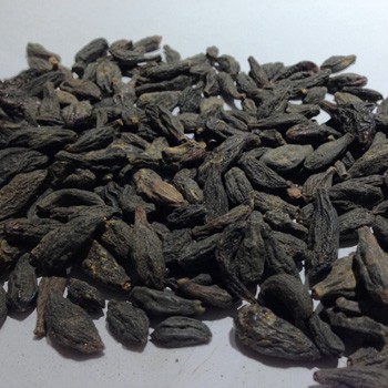 HIMEJ (TERMINALIA CHEBULA BLACK)