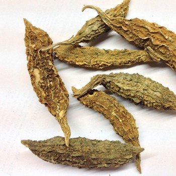 KARELA BITTER GOURD MOMORDICA CHARANTIA