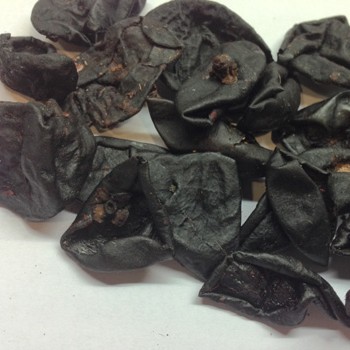 KOKAM MATE MANGOSTEEN GARCINIA PURPUREA