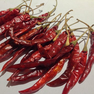 LAL MIRCHI (CHILLIES) (CAPSICUM ANNUUM)