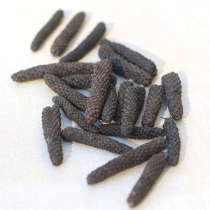 PIPALI (LONG PEPPER) (PIPER LONGUM)