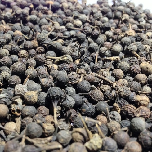 SHITALCHINI CUBEBS PIPER CUBEBA
