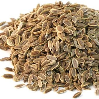 SOWA DILL SEED (ANETHUM GRAVEOLENS)