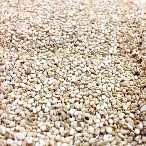 TIL (SESAME SEEDS) (SESAMUM INDICUM)